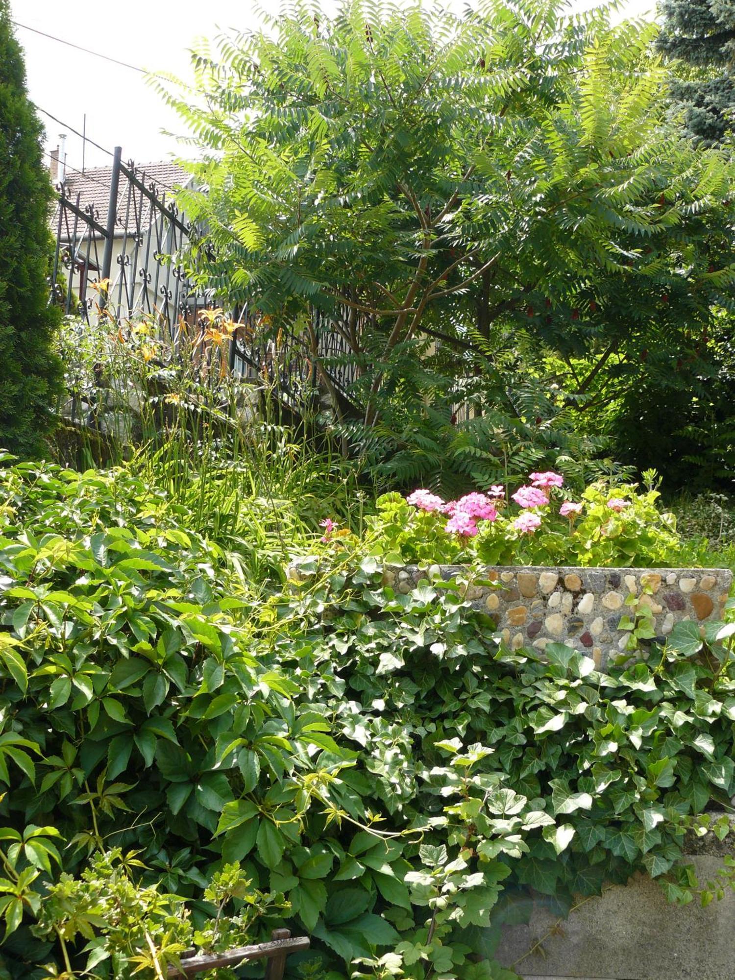 Hejo Apartman Miskolc Exterior foto